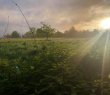 landscape with sunshine