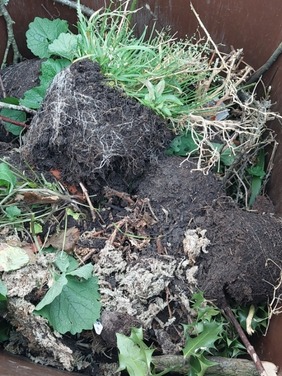 contaminated garden bin