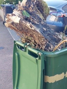 contaminated garden bin