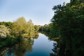 River Medway 
