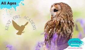 kent owl academy 