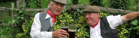 hops n harvest