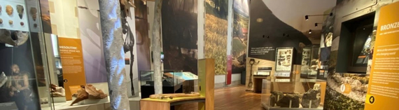 maidstone museum 