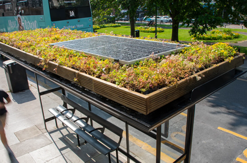 Eco Bus shelter