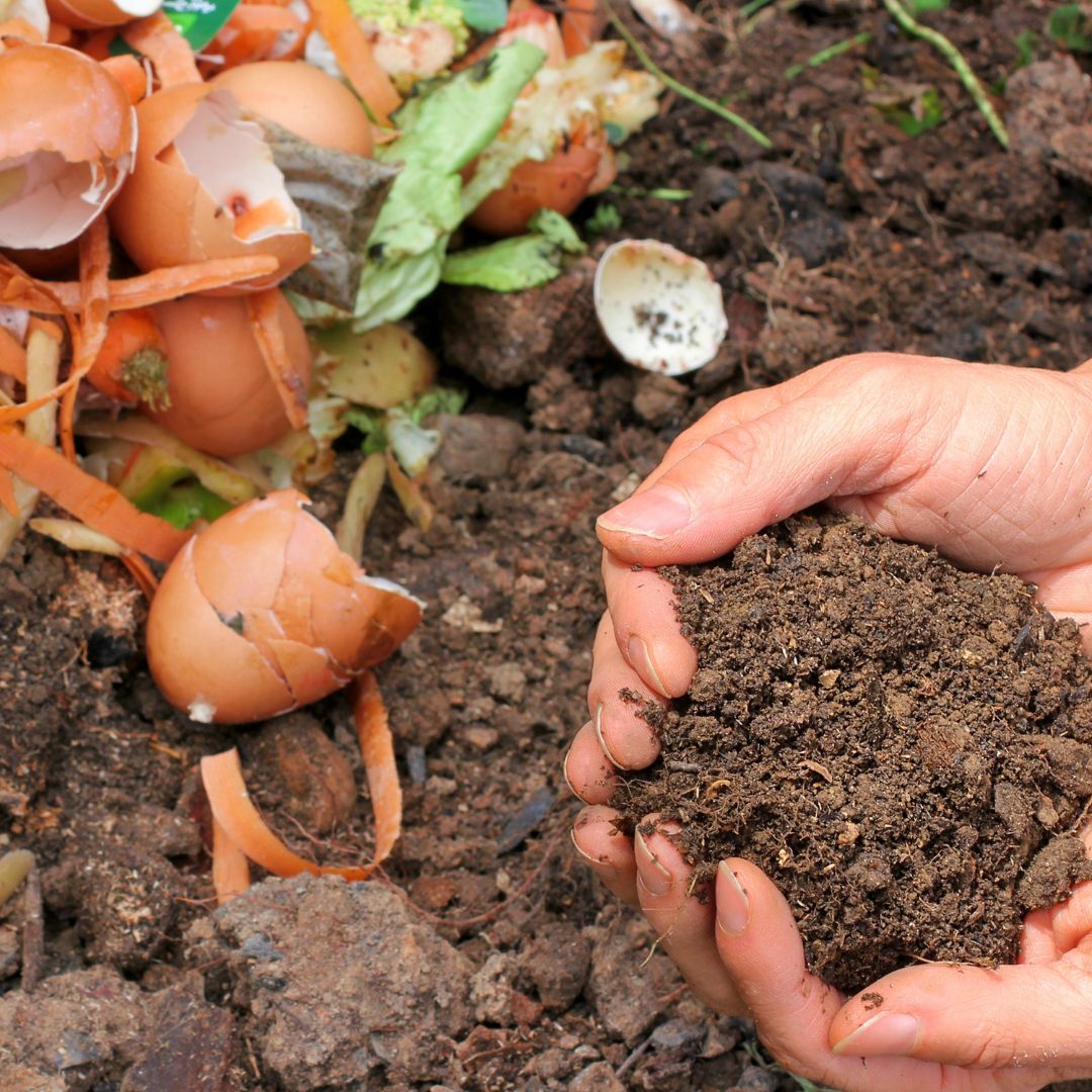 Medway Adult Education