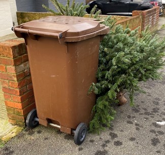 Christmas tree brown bin