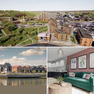 Regeneration Round-Up