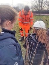 Medway Norse plating trees with children 