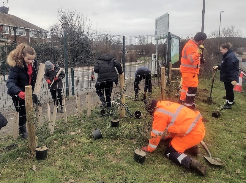 Medway Norse planting more trees with children 