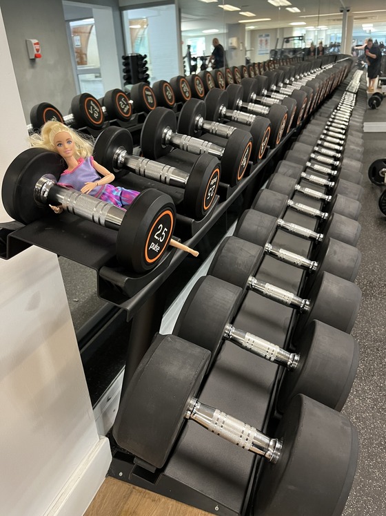 barbie free weights