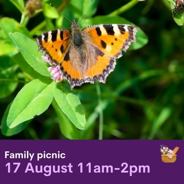 butterfly family picnic