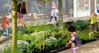 Rain Garden