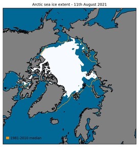 arctic