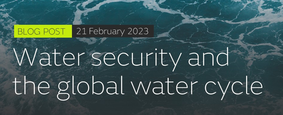 Water security and the global water cycle