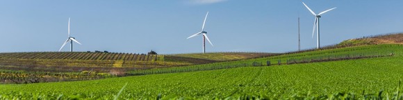 Wind turbines in a field