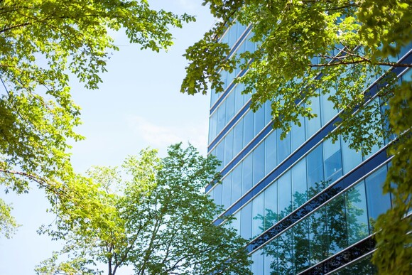 Tall glass building behind green trees under a blue sky