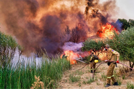 Firefighters in front of wildfire