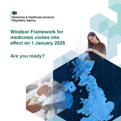 Windsor frame work image