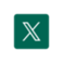 X icon