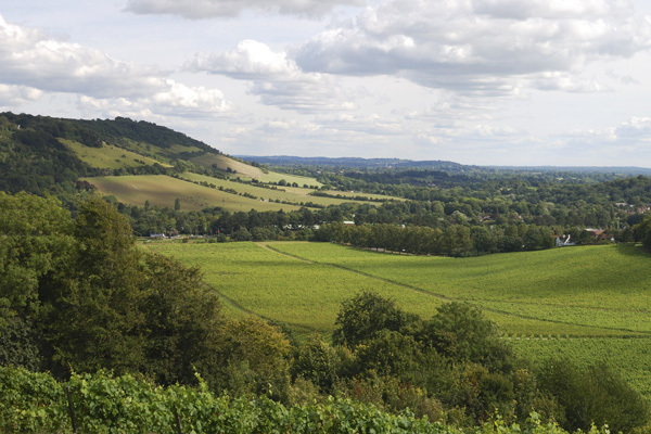 Natural England proposes extension to Surrey Hills boundary