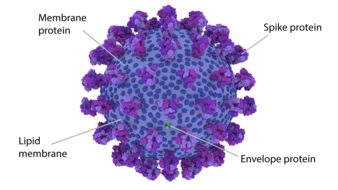 Virus