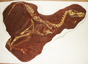 Linheraptor