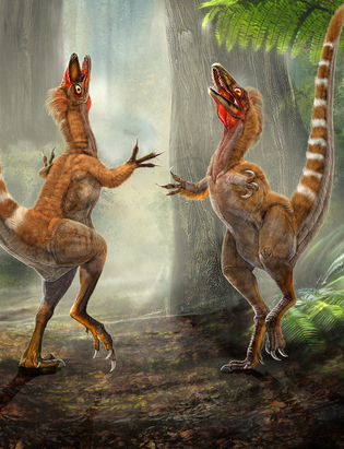 Sinosauropteryx prima