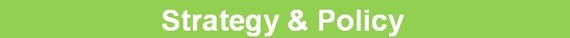 strategy and policy banner