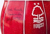 Nottingham Forest Robin