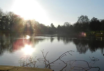 Visit a Nottingham City park over the Christmas and New Year holidays