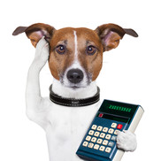money pup calculator