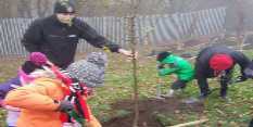 tree planting in park