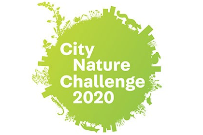 City Nature challenge 2020 logo