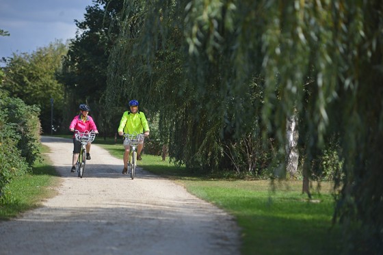 couple riding bikes