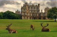 Wollaton Hall