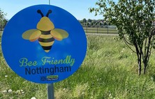 Bee friedly Nottingham sign