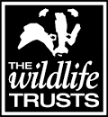 Wildlife Trust logo