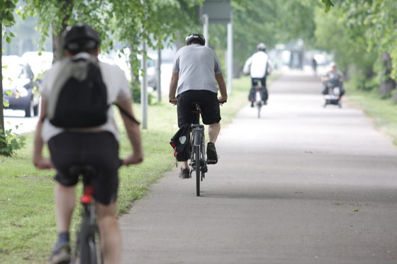 cyclists riding