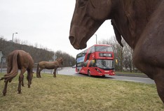 Racecourse park and ride island