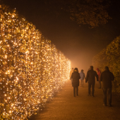 Wollaton lights