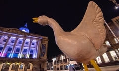 Goosey in Old Market Square