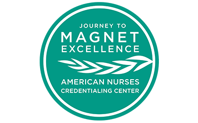 Journey to magnet excellence logo