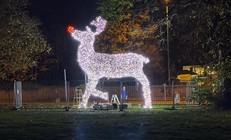 Woodthorpe reindeer Christmas decoration