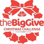 the big give