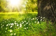 Creating natural habitats across Nottingham