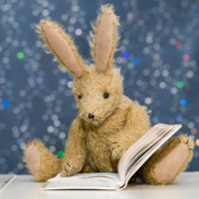 bunny reading