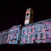 Chinese New Year projection