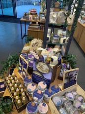 Skin Solace products at Nottingham Castle Shop