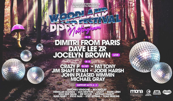 Woodland Disco Festival poster with band listings 