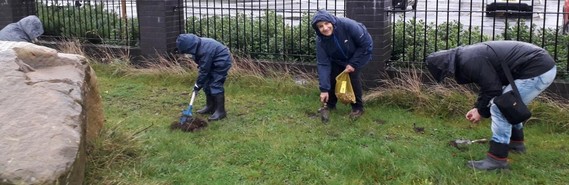 spring bulb planting